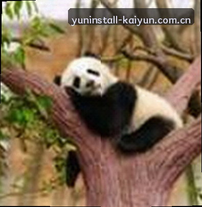周婷