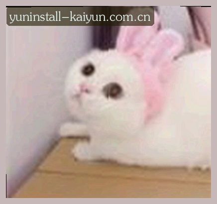 孙莉